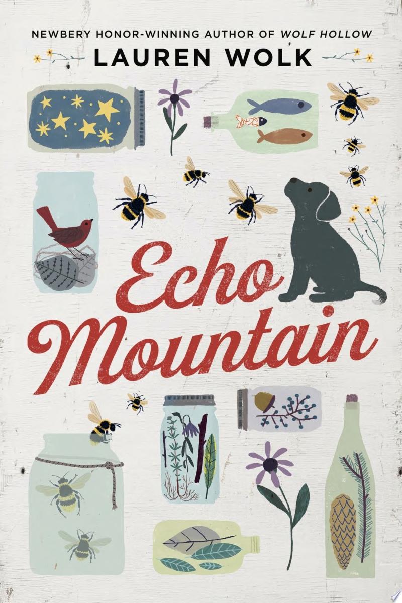 Image for "Echo Mountain"