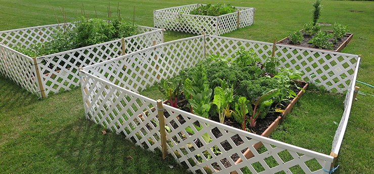 The Learning Gardens outside of South Huntington Public Library