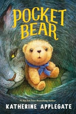 Pocket Bear book jacket