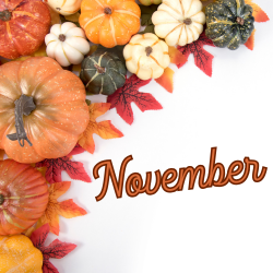 November Movies Graphic 