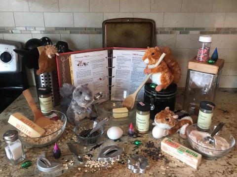 I Spy: Kitchen Critters