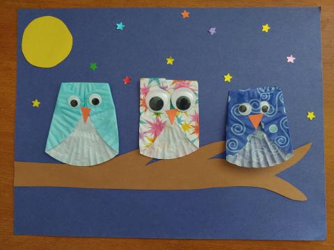 Owl craft