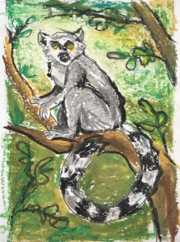 Lemur drawing