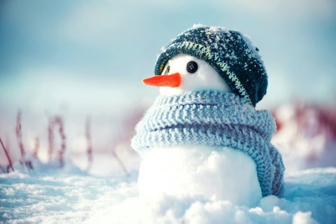 Winter snowman scene