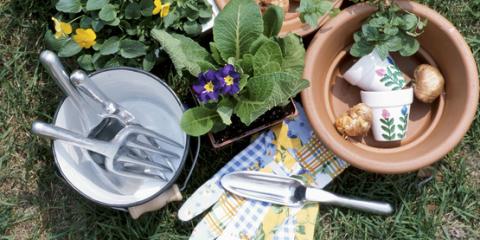 A photo of flower pots and gardening tools needed to plant house plants.