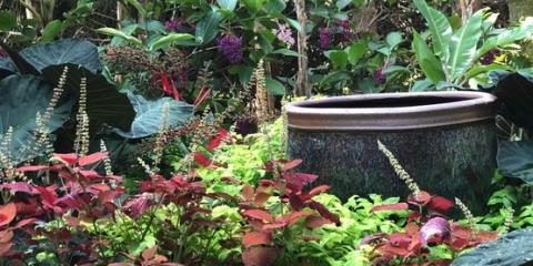 A photo of a flower pot surrounded by various plants.