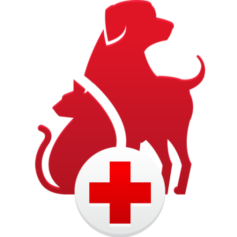pet first aid