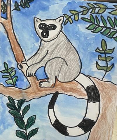 Lemur in a tree