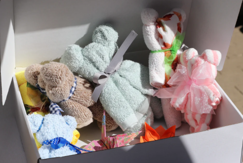 bears and birds for hospitalized kids