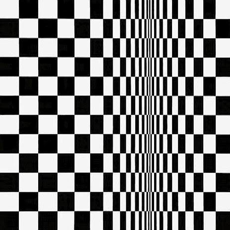 Movement in Squares by Bridget Riley