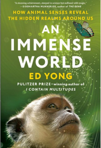 The cover of the book An Immense World.