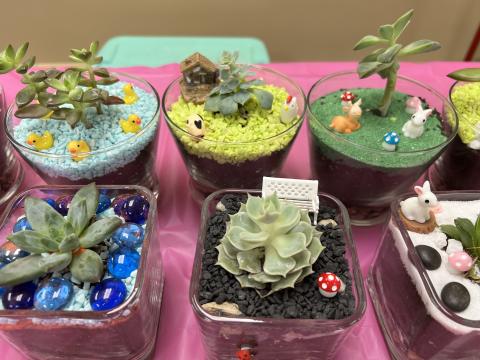 A color photo of six different terrariums.