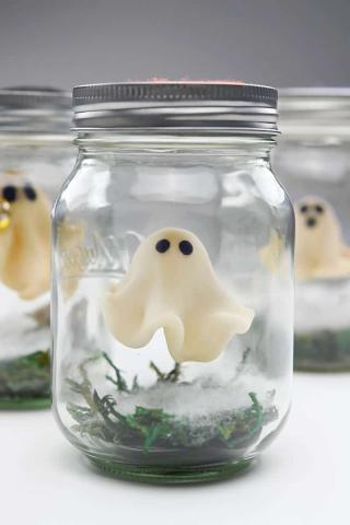 Pet Ghost