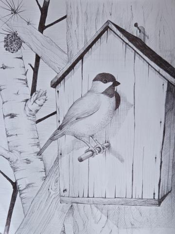 A pen and ink drawing of a bird sitting on a perch outside a birdhouse.