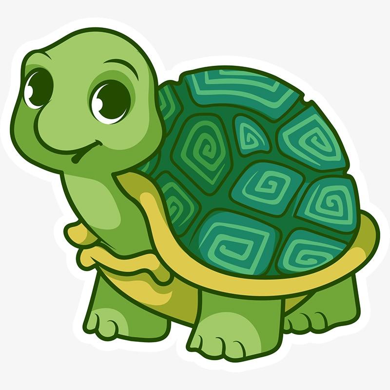 Turtle