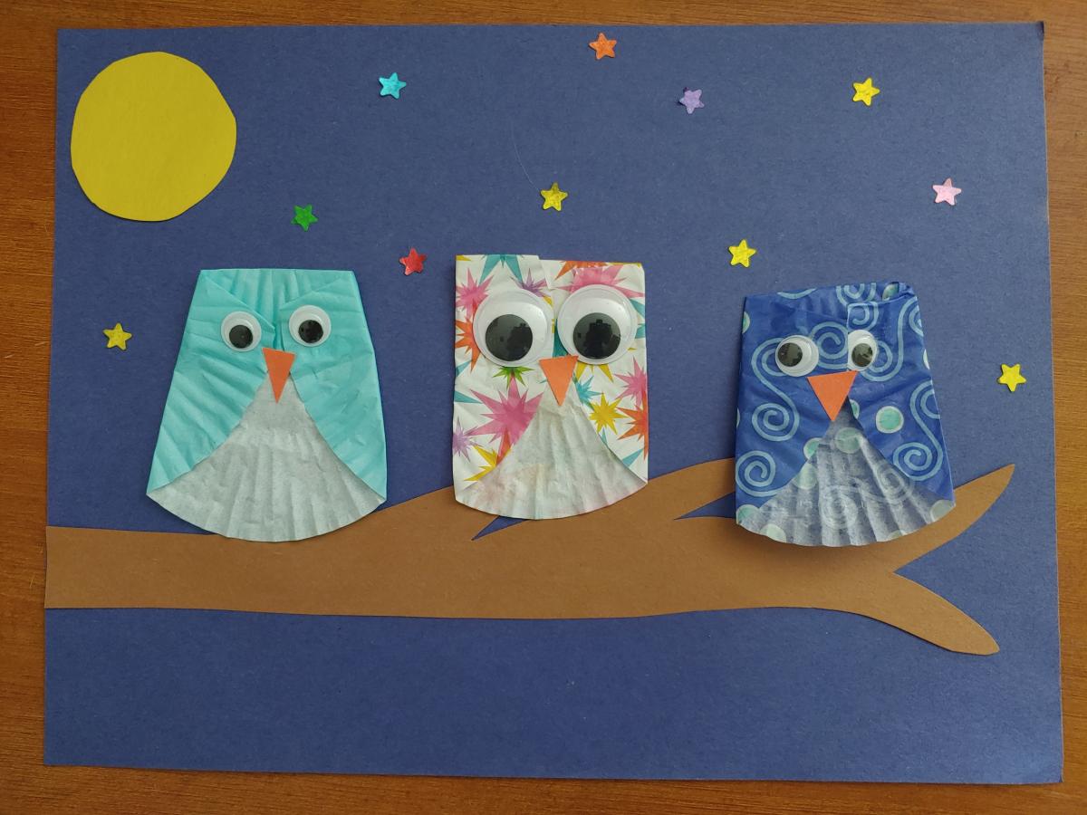 Owl craft