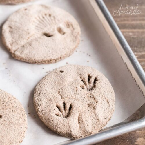 Salt Dough Fossils