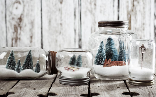 Winter Terrarium