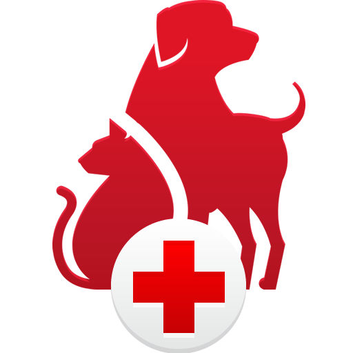 pet first aid