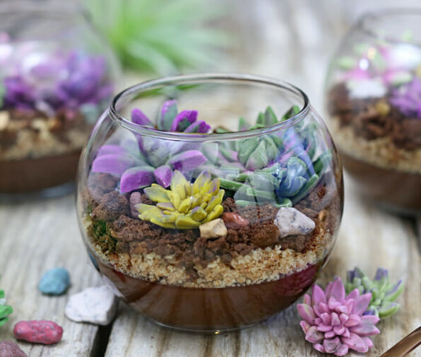 chocolate terrarium