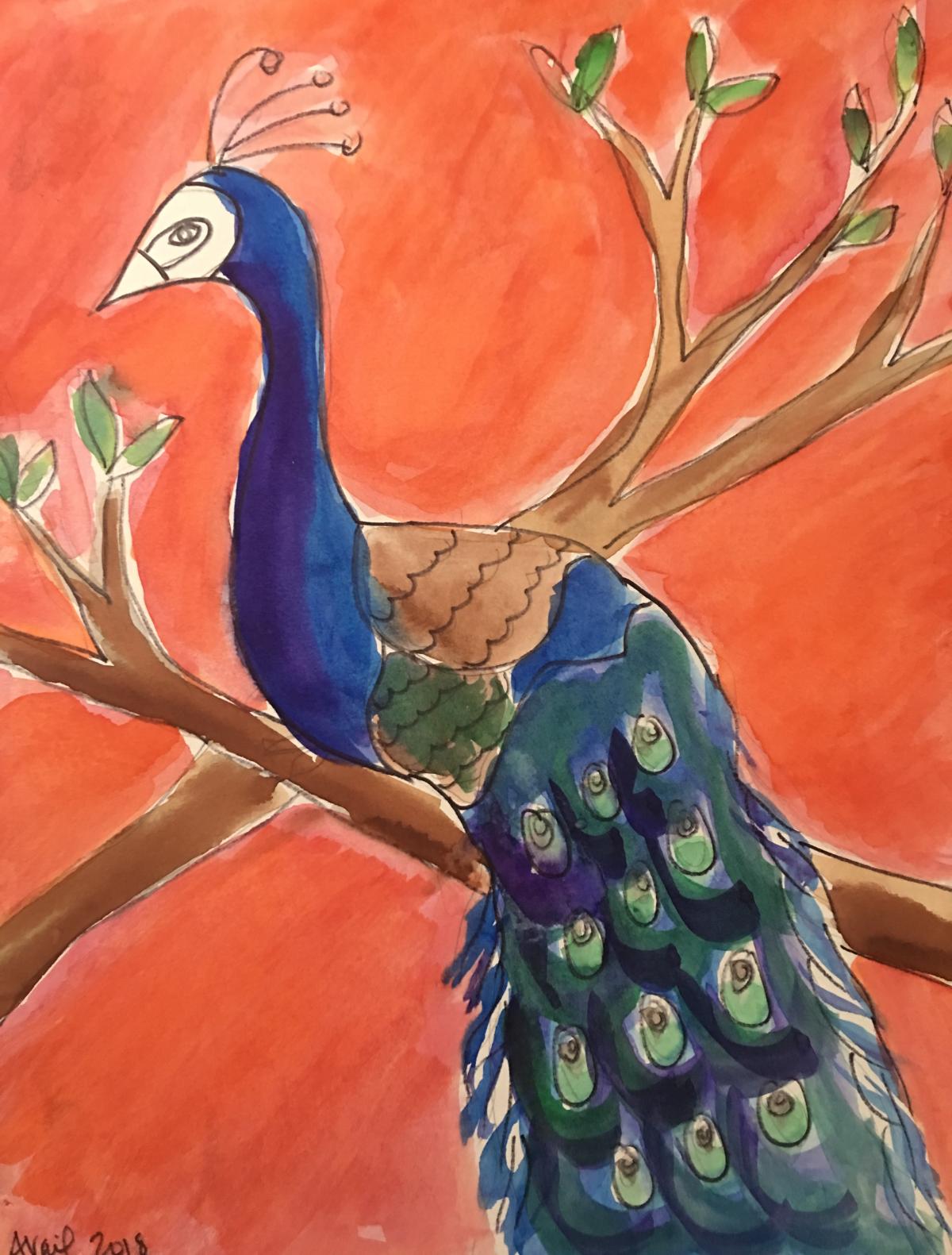 Peacock in tree drawing