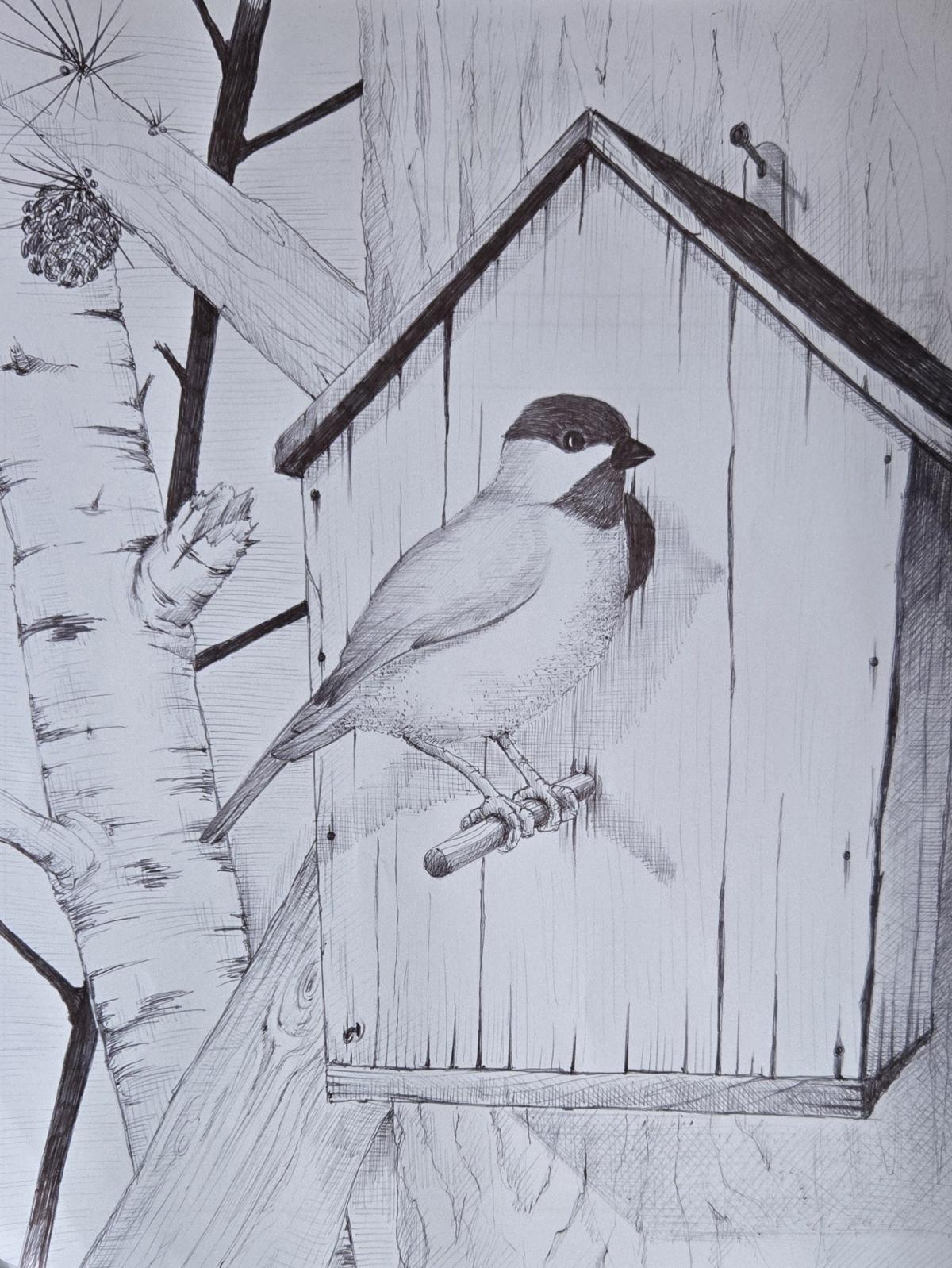 A pen and ink drawing of a bird sitting on a perch outside a birdhouse.