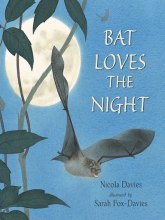 Bat Loves the Night