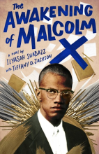 the awakening of malcom x